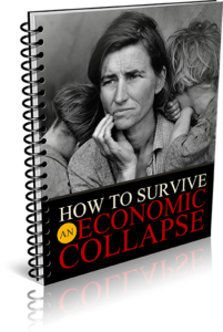 Surviving an Economic Collapse